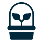 flat roof construction, installing flat roofing, somerset flat roofing