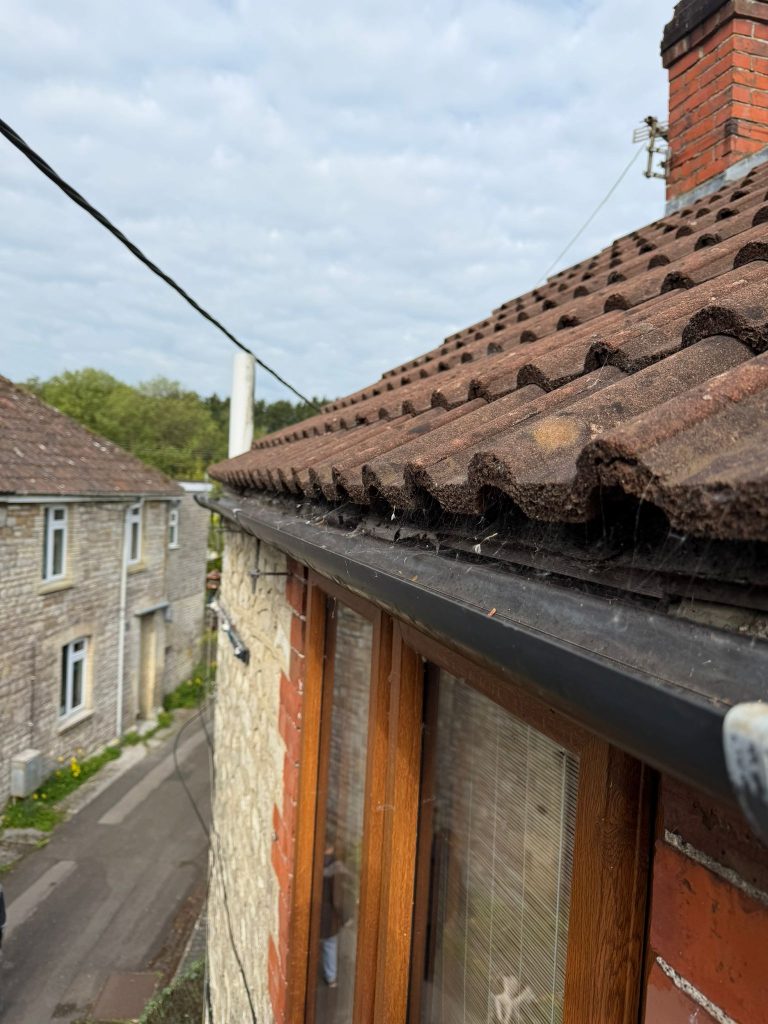 A roof in need of repair