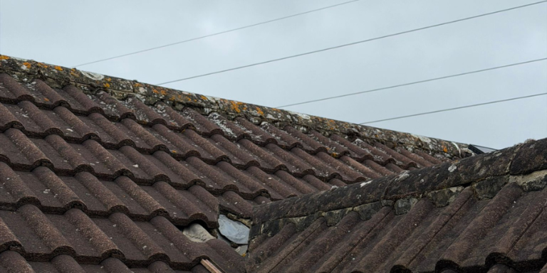 Slipped tiles & leaking mortar on a roof in Frome